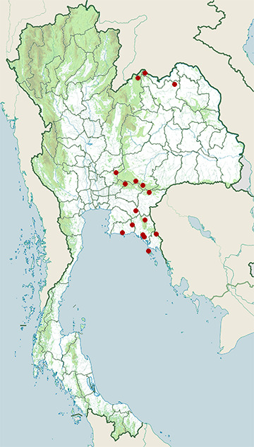 Distribution map of Chinese water dragon, Physignathus cocincinus in Thailand