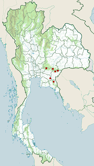 Distribution map of Pileated gibbon, Hylobates pileatus in Thailand