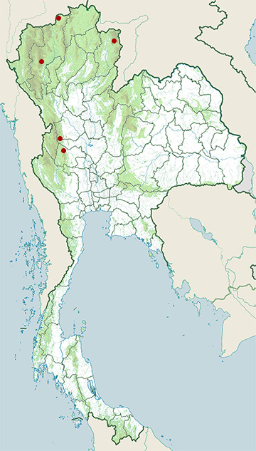 Distribution map of Small-scaled spiny lizard, Pseudocalotes microlepis in Thailand