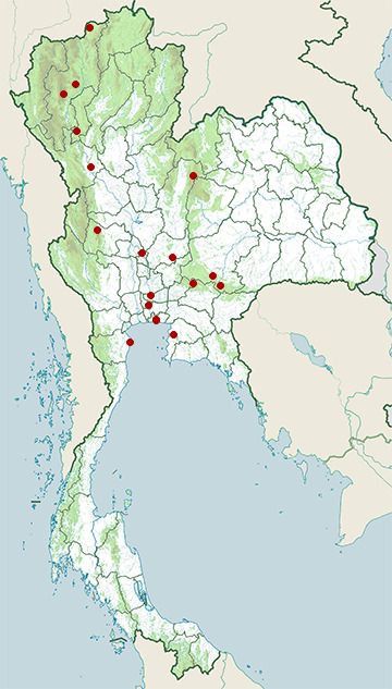 Distribution map of Blossom-headed parakeet, Psittacula roseata in Thailand