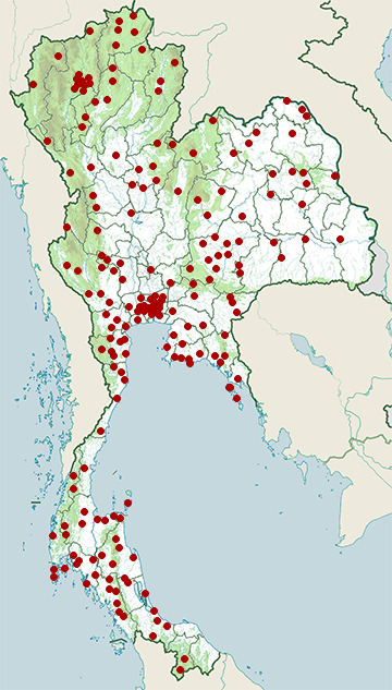 Distribution map of Indo-Chinese rat snake, Ptyas korros in Thailand