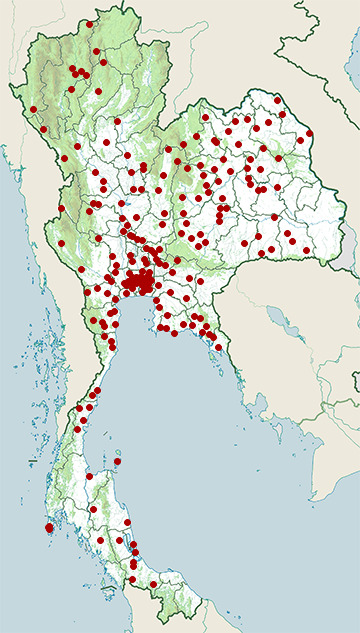 Distribution map of Oriental rat snake, Ptyas mucosa in Thailand
