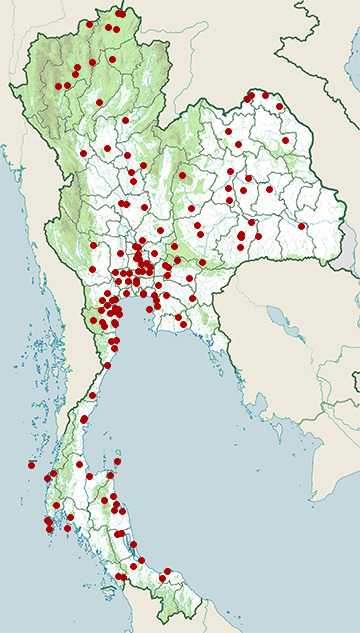 Distribution map of Purple heron, Ardea purpurea in Thailand