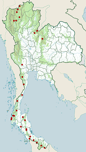 Distribution map of Purple-naped sunbird, Kurochkinegramma hypogrammicum in Thailand