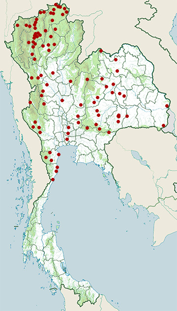 Distribution map of Purple sunbird, Cinnyris asiaticus in Thailand