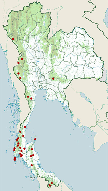 Distribution map of Brongersma's blood python, Python brongersmai in Thailand