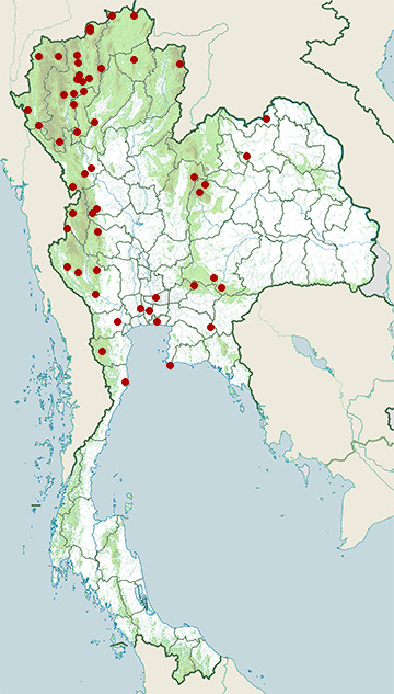 Distribution map of Red-billed blue magpie, Urocissa erythroryncha in Thailand