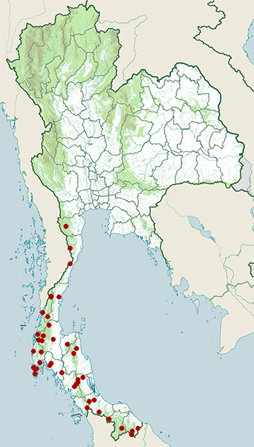 Distribution map of Red-throated barbet, Psilopogon mystacophanos in Thailand