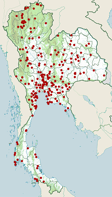 Distribution map of Red collared dove, Streptopelia tranquebarica in Thailand