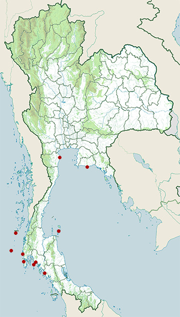 Distribution map of Roseate tern, Sterna dougallii in Thailand