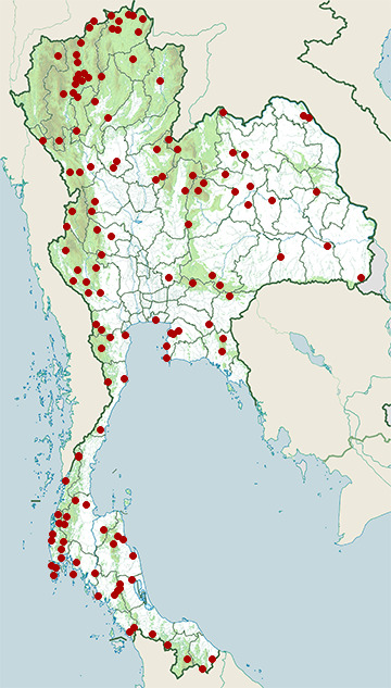 Distribution map of Ruby-cheeked sunbird, Chalcoparia singalensis in Thailand