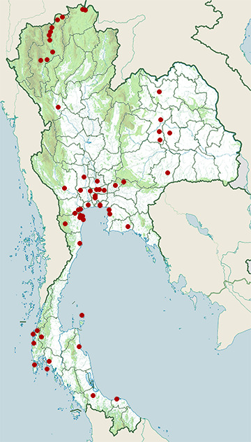 Distribution map of Ruddy-breasted crake, Zapornia fusca in Thailand