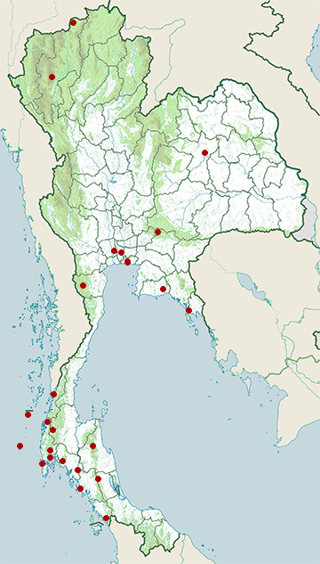 Distribution map of Ruddy kingfisher, Halcyon coromanda in Thailand