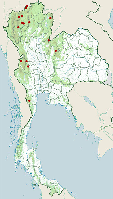 Distribution map of Rufous-throated partridge, Arborophila rufogularis in Thailand