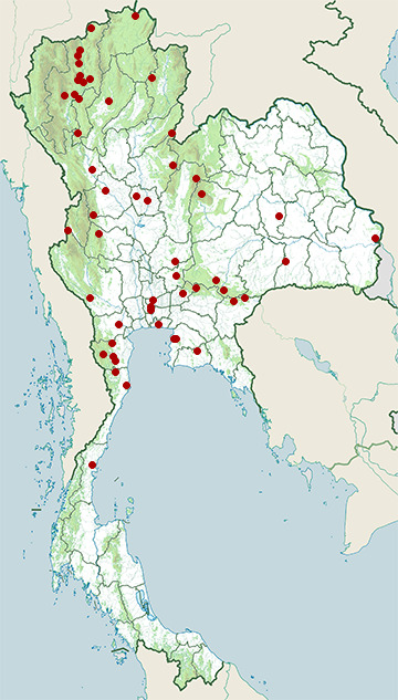 Distribution map of Rufous treepie, Dendrocitta vagabunda in Thailand
