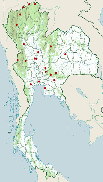 Distribution map of Savanna nightjar, Caprimulgus affinis in Thailand