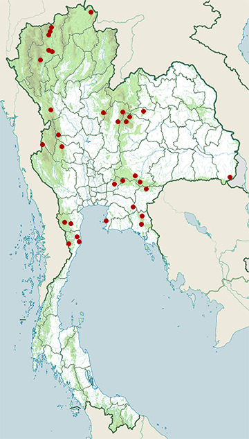 Distribution map of Scaly-breasted partridge, Tropicoperdix chloropus in Thailand