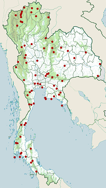 Distribution map of Siberian blue robin, Larvivora cyane in Thailand