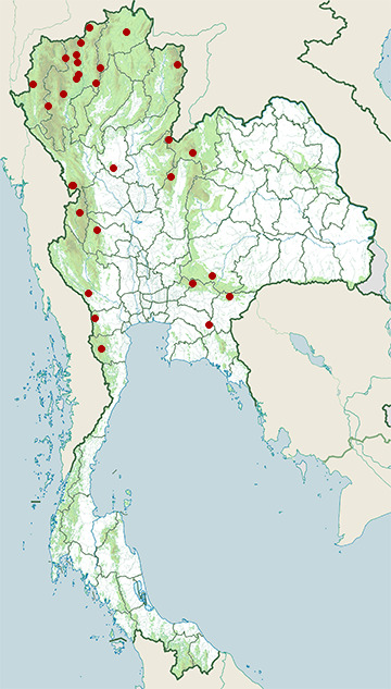 Distribution map of MacClelland's coral snake, Sinomicrurus macclellandi in Thailand