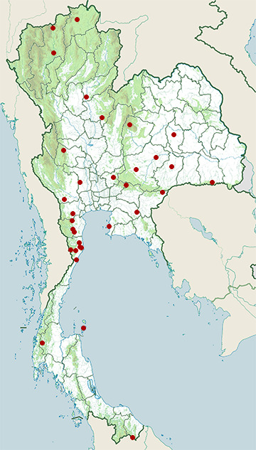 Distribution map of Small Asian mongoose, Herpestes javanicus in Thailand