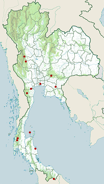 Distribution map of Smooth-coated otter, Lutrogale perspicillata in Thailand