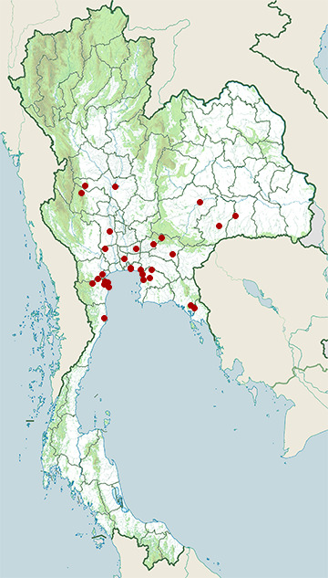 Distribution map of Spot-billed pelican, Pelecanus philippensis in Thailand