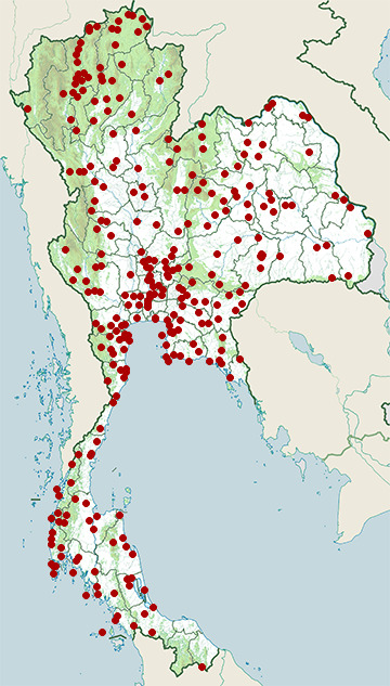 Distribution map of Streak-eared bulbul, Pycnonotus conradi in Thailand