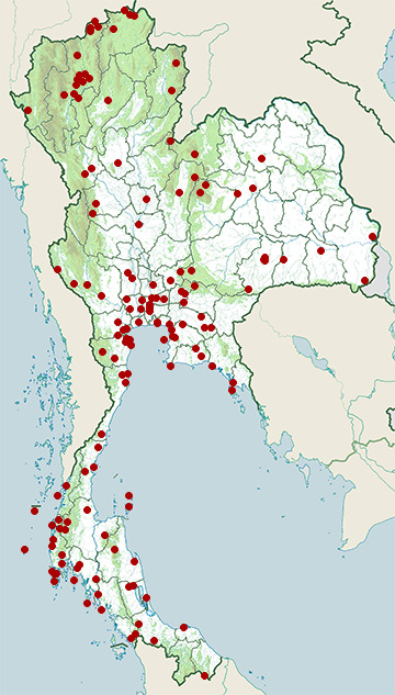Distribution map of Striated heron, Butorides striata in Thailand
