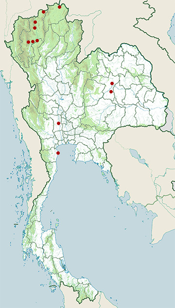Distribution map of Common starling, Sturnus vulgaris in Thailand