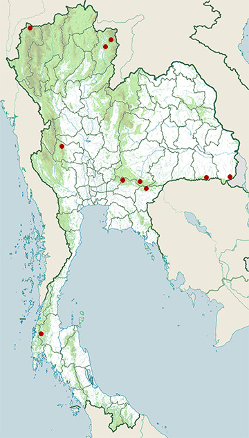 Distribution map of Siam stream frog, Sylvirana cubitalis in Thailand