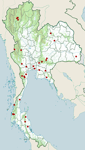 Distribution map of Six-striped grass lizard, Takydromus sexlineatus in Thailand