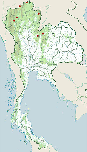 Distribution map of Gordon's bug-eyed frog, Theloderma gordoni in Thailand