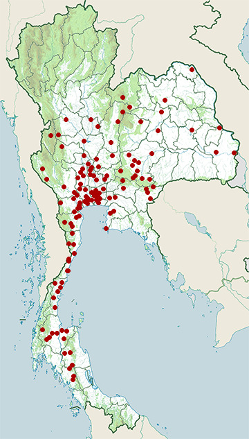 Distribution map of White-lipped pit viper, Trimeresurus albolabris in Thailand