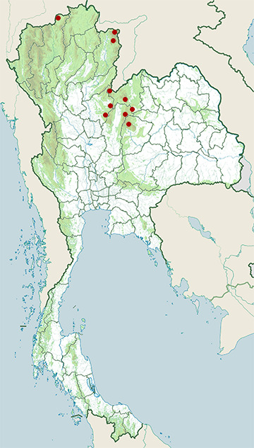 Distribution map of Gumprecht's pit viper, Trimeresurus gumprechti in Thailand