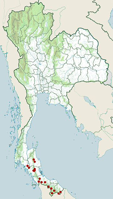 Distribution map of Hagen's pit viper, Trimeresurus hageni in Thailand