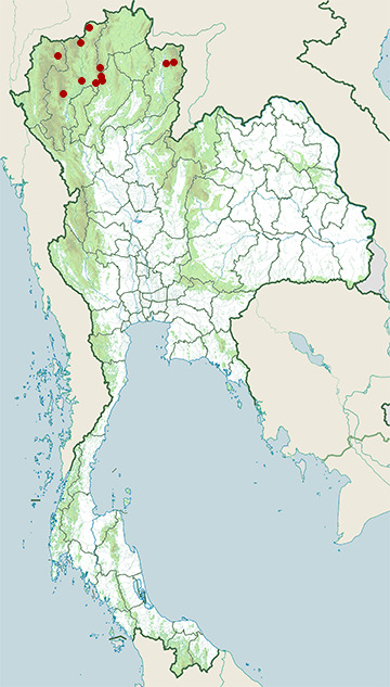 Distribution map of Yunnan water snake, Trimerodytes yunnanensis in Thailand