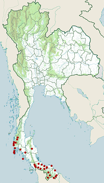 Distribution map of Wagler's palm pit viper, Tropidolaemus wagleri in Thailand