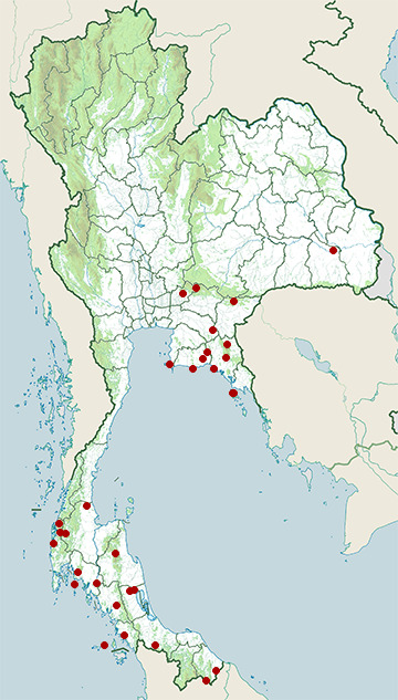 Distribution map of Van Hasselt's sunbird, Leptocoma brasiliana in Thailand