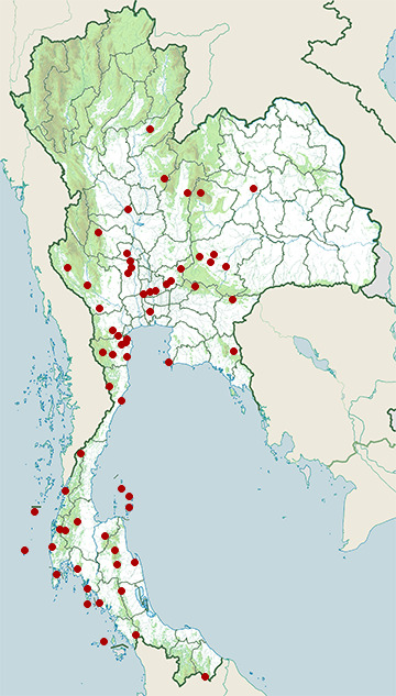 Distribution map of Water monitor, Varanus salvator in Thailand