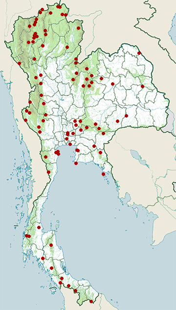 Distribution map of Verditer flycatcher, Eumyias thalassinus in Thailand