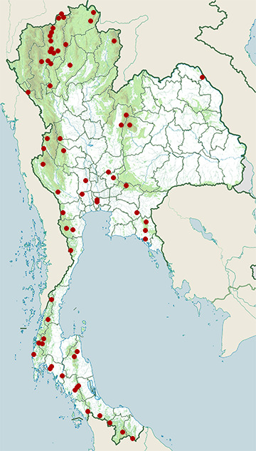 Distribution map of Violet cuckoo, Chrysococcyx xanthorhynchus in Thailand