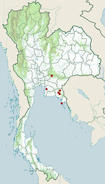 Distribution map of Western black-bridged leaf turtle, Cyclemys atripons in Thailand