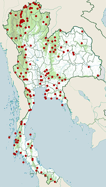 Distribution map of White-rumped shama, Kittacincla malabarica in Thailand