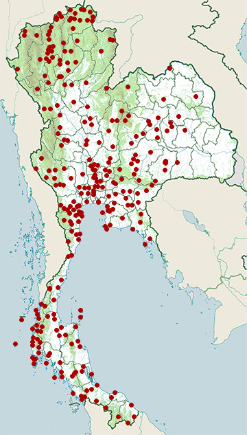 Distribution map of White-throated kingfisher, Halcyon smyrnensis in Thailand