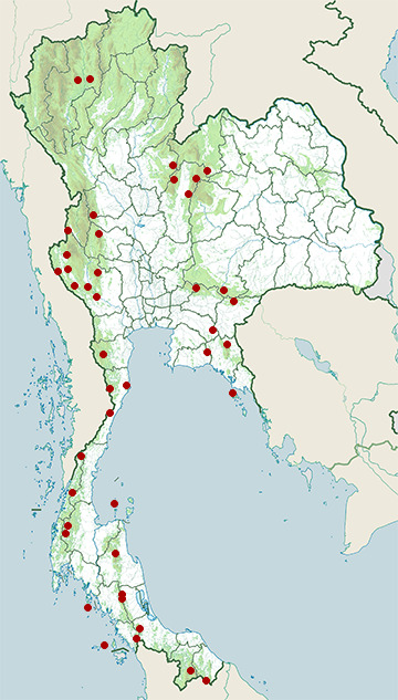 Distribution map of Wild boar, Sus scrofa in Thailand