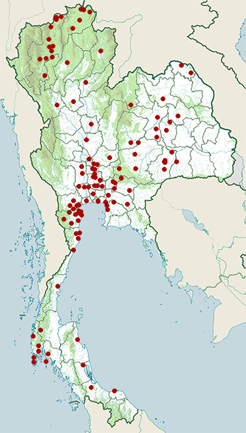 Distribution map of Wood sandpiper, Tringa glareola in Thailand