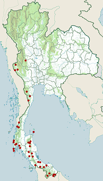Distribution map of Triangle keelback, Xenochrophis trianguligerus in Thailand