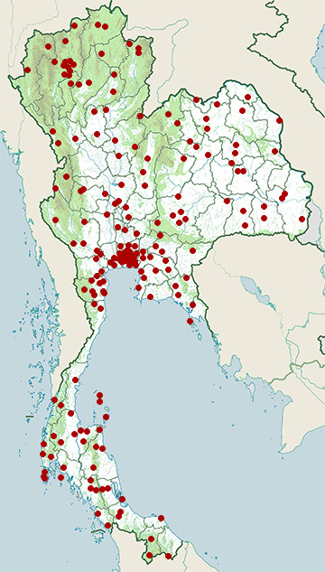 Distribution map of Common sunbeam snake, Xenopeltis unicolor in Thailand