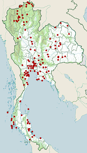 Distribution map of Yellow bittern, Ixobrychus sinensis in Thailand