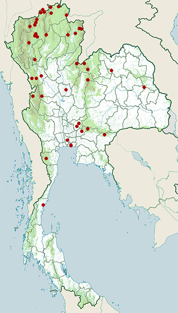 Distribution map of Chestnut-flanked white-eye, Zosterops erythropleurus in Thailand